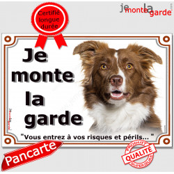 Border Collie marron brun et blanc, plaque portail "Je Monte la Garde, risques périls" pancarte panneau photo