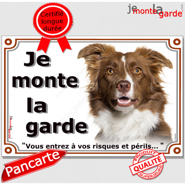 Border Collie marron brun et blanc, plaque portail "Je Monte la Garde, risques périls" pancarte panneau photo