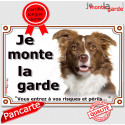 Border Collie, plaque portail "Je Monte la Garde" 24 cm LUX