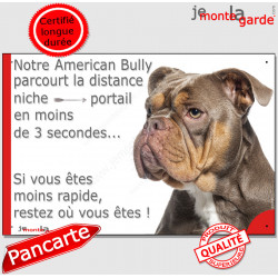 American Bully marron chocolat et Tan, plaque humour "parcourt distance Niche-Portail moins 3 secondes" photo attention chien