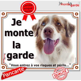Berger Australien Rouge Merle yeux Vairon, plaque portail "Je Monte la Garde,  risques périls" pancarte panneau photo Aussie
