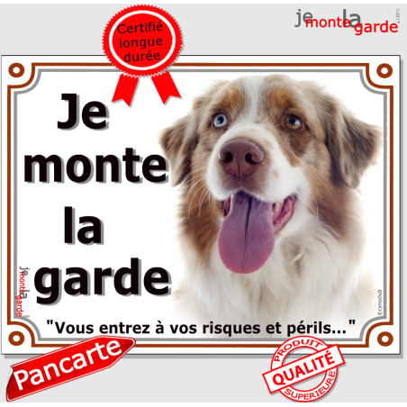 Berger Australien Rouge Merle yeux Vairon, plaque portail "Je Monte la Garde,  risques périls" pancarte panneau photo Aussie