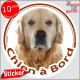 Golden Retriever Tête, sticker autocollant rond "Chien à Bord" Disque adhésif vitre voiture photo