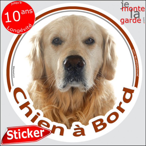 Golden Retriever Tête, sticker autocollant rond "Chien à Bord" Disque adhésif vitre voiture photo