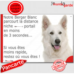 Berger Blanc Suisse Tête, plaque humour "parcourt distance Niche - Portail moins 3 secondes" pancarte drôle photo