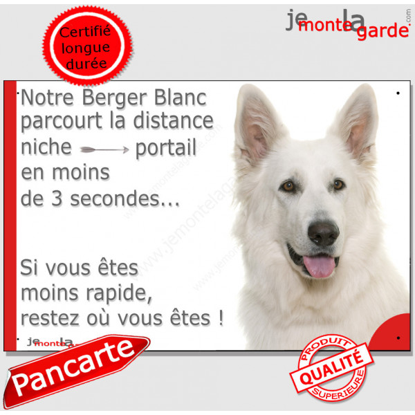 Berger Blanc Suisse Tête, plaque humour "parcourt distance Niche - Portail moins 3 secondes" pancarte drôle photo