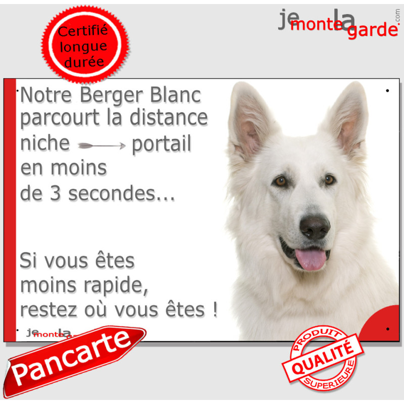 Berger Blanc Suisse Tête, plaque humour "parcourt distance Niche - Portail moins 3 secondes" pancarte drôle photo Berger Blanc Suisse Tête, plaque humour "parcourt distance Niche - Portail moins 3 secondes" pancarte drôle photo
