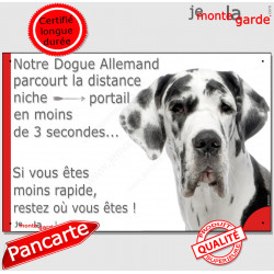 Danois Arlequin, plaque humour "distance Niche - Portail" 24 cm 3S