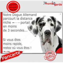 Danois arlequin, blanc tâches noires, plaque humour "parcourt distance Niche - Portail, rapide" photo Dogue Allemand attention