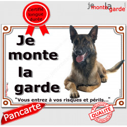 Berger Belge Malinois couché, plaque portail "Je Monte la Garde, risques et périls" panneau pancarte attention au chien photo