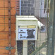 Photo client - Staffie tout noir tête, plaque portail "Je Monte la Garde, risques périls" panneau affiche pancarte, staffy