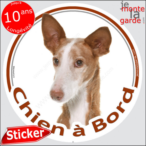 Podenco Tête, sticker autocollant rond "Chien à Bord" Disque photo adhésif vitre voiture photo