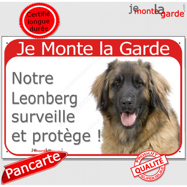 Leonberg tête, Plaque portail rouge "Je Monte la Garde, surveille protège" pancarte attention au chien panneau photo