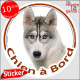 Husky gris et blanc yeux bleus, sticker autocollant rond "Chien à Bord", disque adhésif vitre voiture photo