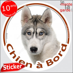 Husky gris et blanc yeux bleus, sticker autocollant rond "Chien à Bord", disque adhésif vitre voiture photo