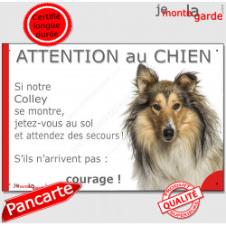 Colley fauve, plaque portail humour "Attention au Chien, Jetez Vous au Sol, secours, courage" photo Lassie