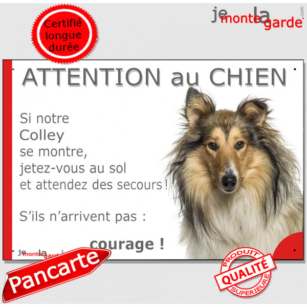 Colley fauve zibeline et blanc à poils longs, plaque portail humour photo "Attention au Chien, Jetez Vous au Sol, attendez secou