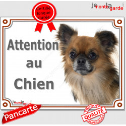 Chihuahua fauve charbonné à poils longs Tête, plaque portail "Attention au Chien" pancarte panneau photo Chiwawa marron