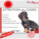 Teckel Poils Durs assis, Panneau "Attention au Chien, jetez-vous au sol, attendez secours" marrant drôle, affiche plaque pancart