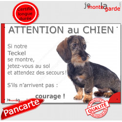 Teckel, plaque humour "Attention au Chien, Jetez Vous au Sol" 24 cm JET