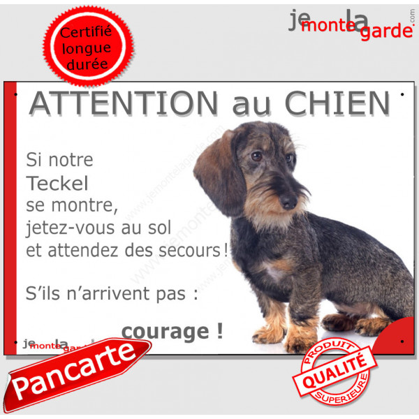 Teckel Poils Durs assis, Panneau "Attention au Chien, jetez-vous au sol, attendez secours" marrant drôle, affiche plaque pancart