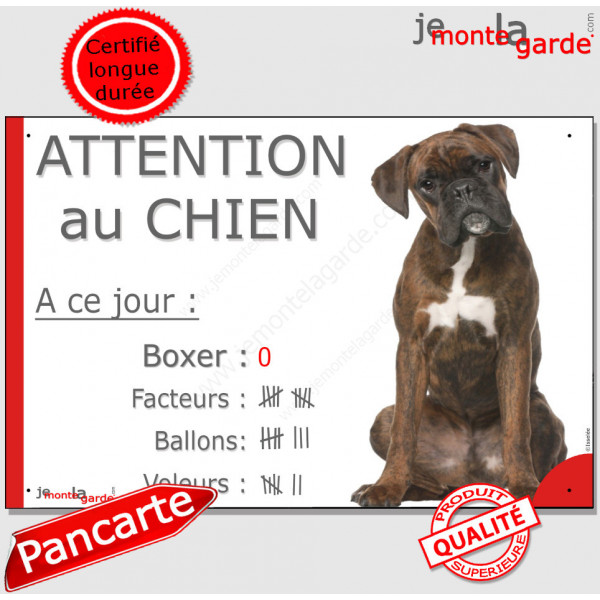 Boxer Bringé assis, Pancarte portail drôle "Attention Chien, nombre de Facteurs, Voleurs, Ballons !" plaque photo panneau