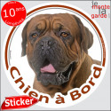 Dogue de Bordeaux face noire, sticker rond voiture "Chien à Bord" 2 Tailles D