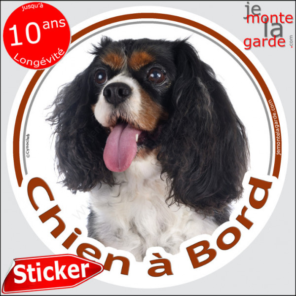 Cavalier King Charles tricolore, sticker autocollant voiture rond "Chien à Bord" Disque adhésif photo