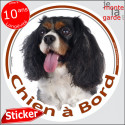 Cavalier tricolore, sticker voiture "Chien à Bord" 14 cm