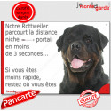 Rottweiler, plaque humour "distance Niche - Portail" 24 cm 3SEC