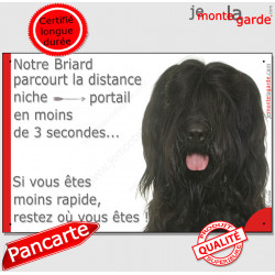 Briard noir, plaque humour "distance Niche - Portail, moins 3 secondes rapide" panneau pancarte photo Berger de Brie marrant