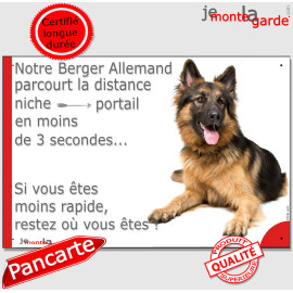 Berger Allemand Poils Longs couché, Plaque humour "parcourt distance niche-portail 3 secondes rapide" photo, résiste pluie solei