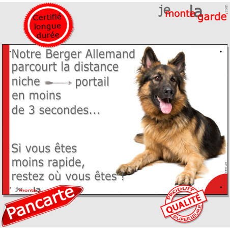 Berger Allemand Poils Longs couché, Plaque humour "parcourt distance niche-portail 3 secondes rapide" photo, résiste pluie solei