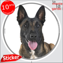 Berger Belge Malinois, sticker autocollant rond "photo" Disque résiste dehors, idée cadeau, fabriqué en France