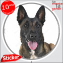 Malinois, disque autocollant rond "photo" 14 cm