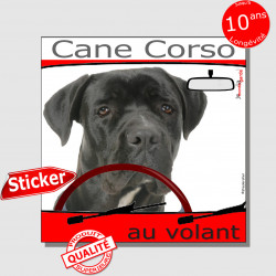 "Cane Corso Italiano entièrement noir au volant" panneau autocollant humoristique voiture photo sticker drôle chien à bord