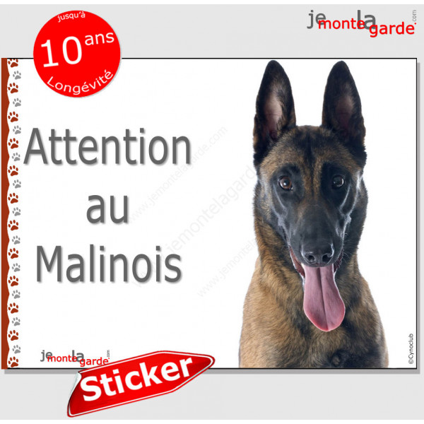 Berger Belge Malinois, panneau autocollant "Attention au Chien" Pancarte photo sticker adhésif