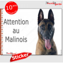 Malinois, autocollant "Attention au Chien" 16 cm