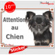 Chihuahua noir à poils longs, panneau photo autocollant "Attention au Chien" pancarte sticker porte entrée boite lettre