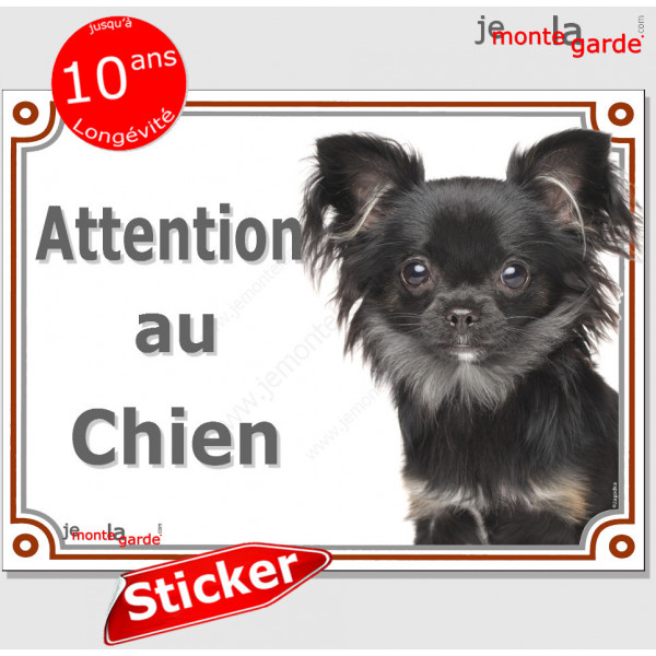 Chihuahua noir à poils longs, panneau photo autocollant "Attention au Chien" pancarte sticker porte entrée boite lettre