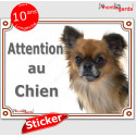 Chihuahua, autocollant "Attention au Chien" 16 cm