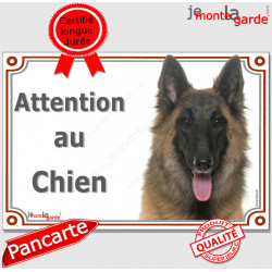 Berger Belge Tervueren, plaque portail "Attention au Chien" pancarte panneau photo