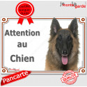 Tervueren, plaque portail "Attention au Chien" 24 cm LUX