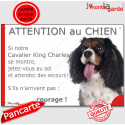 Cavalier King Charles, plaque humour "Jetez Vous au Sol, Attention au Chien" 24 cm JET