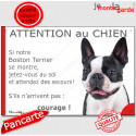Boston Terrier, plaque humour "Attention au Chien, Jetez Vous au Sol" 24 cm JET