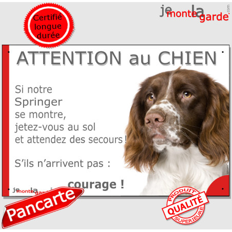 Springer anglais marron foie, plaque portail humour "Attention au Chien, Jetez Vous au Sol, attendez secours, courage" photo, ré