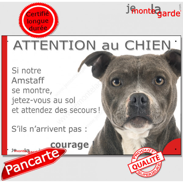 Amstaff Bleu, plaque humour "Attention au Chien, jetez-vous au sol, attendez secours, courage" pancarte Staff photo Panneau