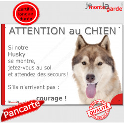 Husky Sibérien fauve doré plaque humour " Attention au Chien, Jetez Vous au Sol, attendez secours, courage" pancarte photo drôle
