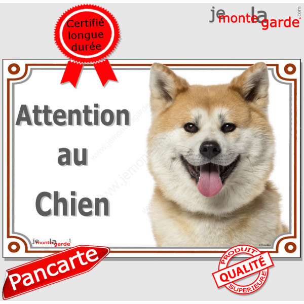 Akita Inu Japonais fauve et blanc, plaque portail "Attention au Chien" pancarte panneau photo