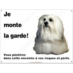 Bichon Havanais, pancarte portail "Je Monte la Garde, risques et périls" panneau photo, plaque entrée attention au chien